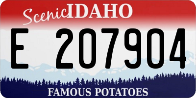 ID license plate E207904