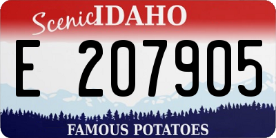 ID license plate E207905