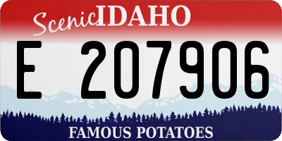 ID license plate E207906