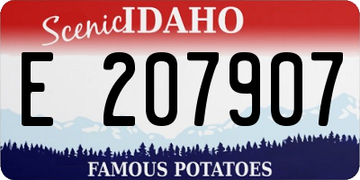 ID license plate E207907