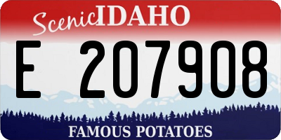 ID license plate E207908