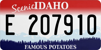 ID license plate E207910