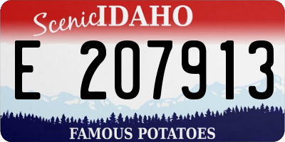 ID license plate E207913