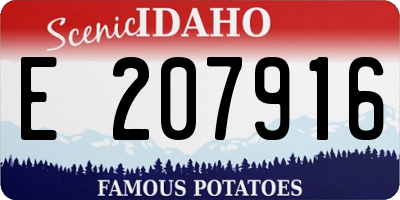 ID license plate E207916