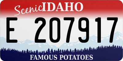 ID license plate E207917