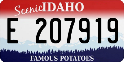 ID license plate E207919