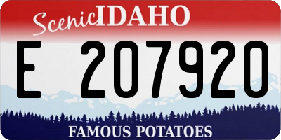ID license plate E207920