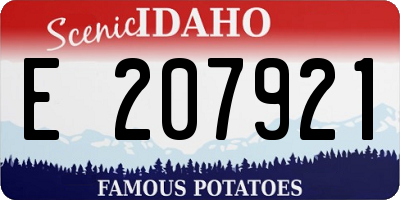 ID license plate E207921