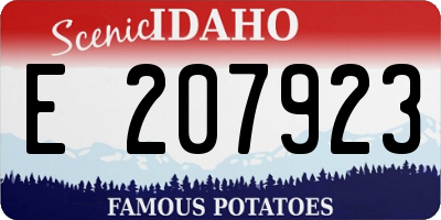 ID license plate E207923