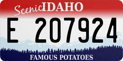ID license plate E207924