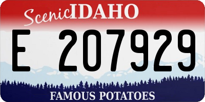 ID license plate E207929