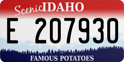 ID license plate E207930