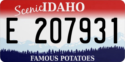 ID license plate E207931