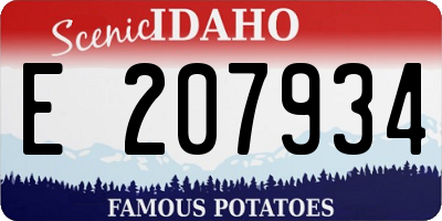 ID license plate E207934