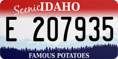 ID license plate E207935