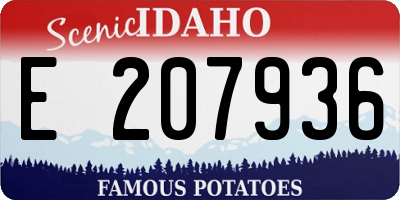 ID license plate E207936