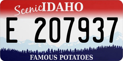 ID license plate E207937