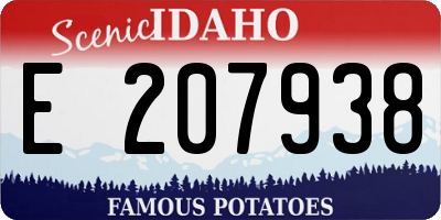 ID license plate E207938