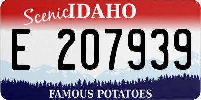 ID license plate E207939