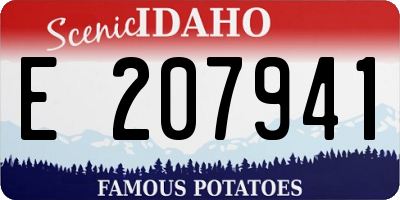 ID license plate E207941