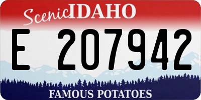 ID license plate E207942