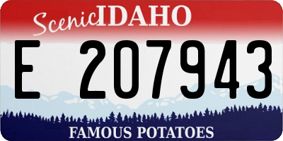 ID license plate E207943