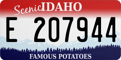 ID license plate E207944