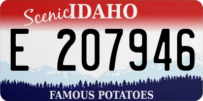 ID license plate E207946
