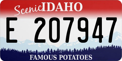 ID license plate E207947