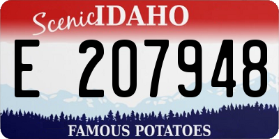 ID license plate E207948