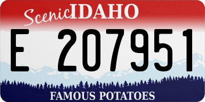 ID license plate E207951