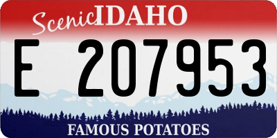 ID license plate E207953
