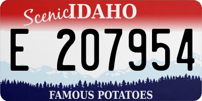 ID license plate E207954