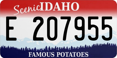 ID license plate E207955
