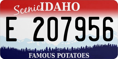 ID license plate E207956