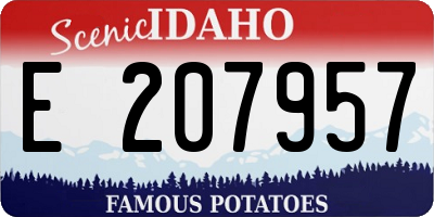 ID license plate E207957