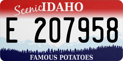 ID license plate E207958