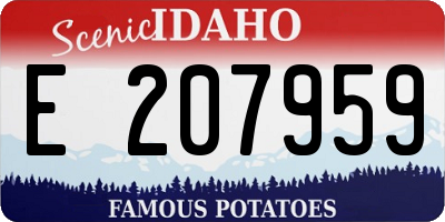 ID license plate E207959