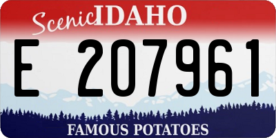 ID license plate E207961