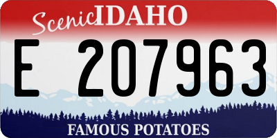 ID license plate E207963