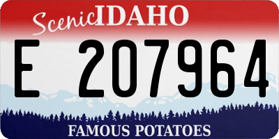 ID license plate E207964