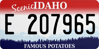 ID license plate E207965