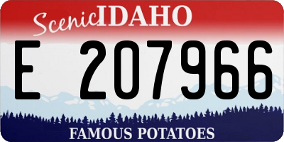ID license plate E207966