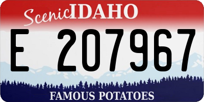 ID license plate E207967