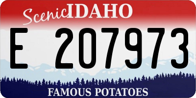 ID license plate E207973