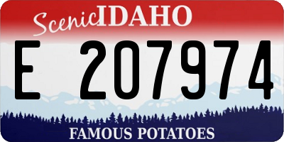 ID license plate E207974
