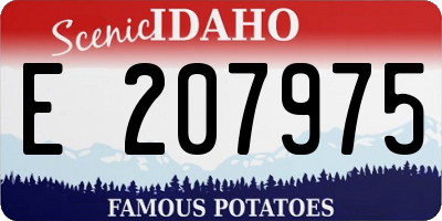 ID license plate E207975