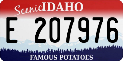 ID license plate E207976