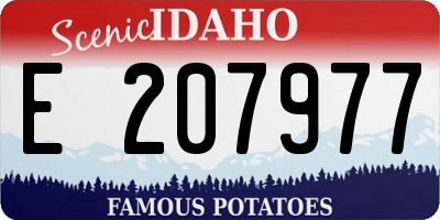 ID license plate E207977