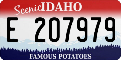 ID license plate E207979